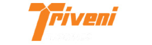 Triveni Turbines
